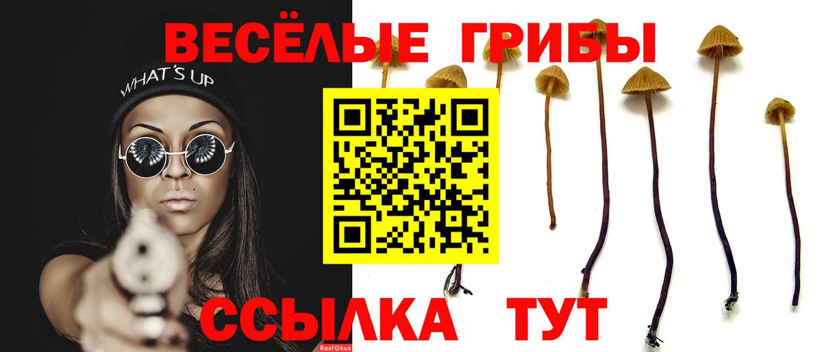 Псилоцибиновые грибы прущие грибы Осинники