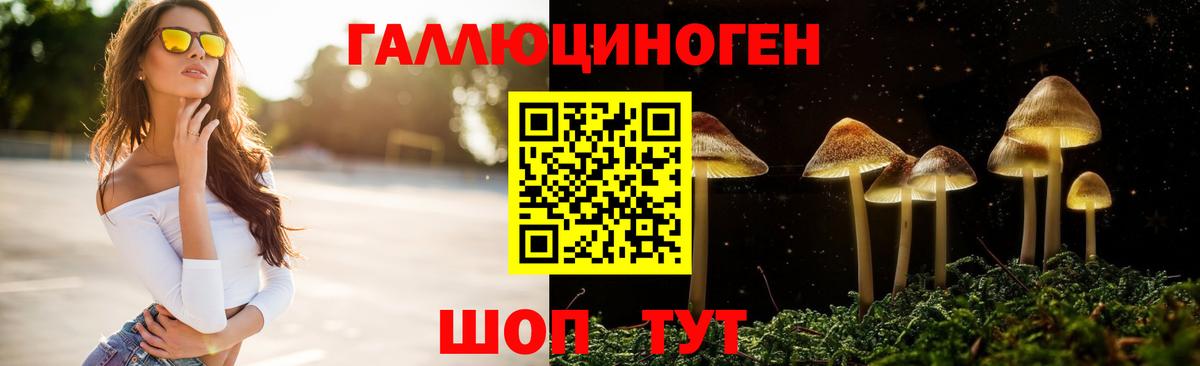 Псилоцибиновые грибы Psilocybe  Галлюциногенные грибы мухоморы  Вход с VPN  Осинники 